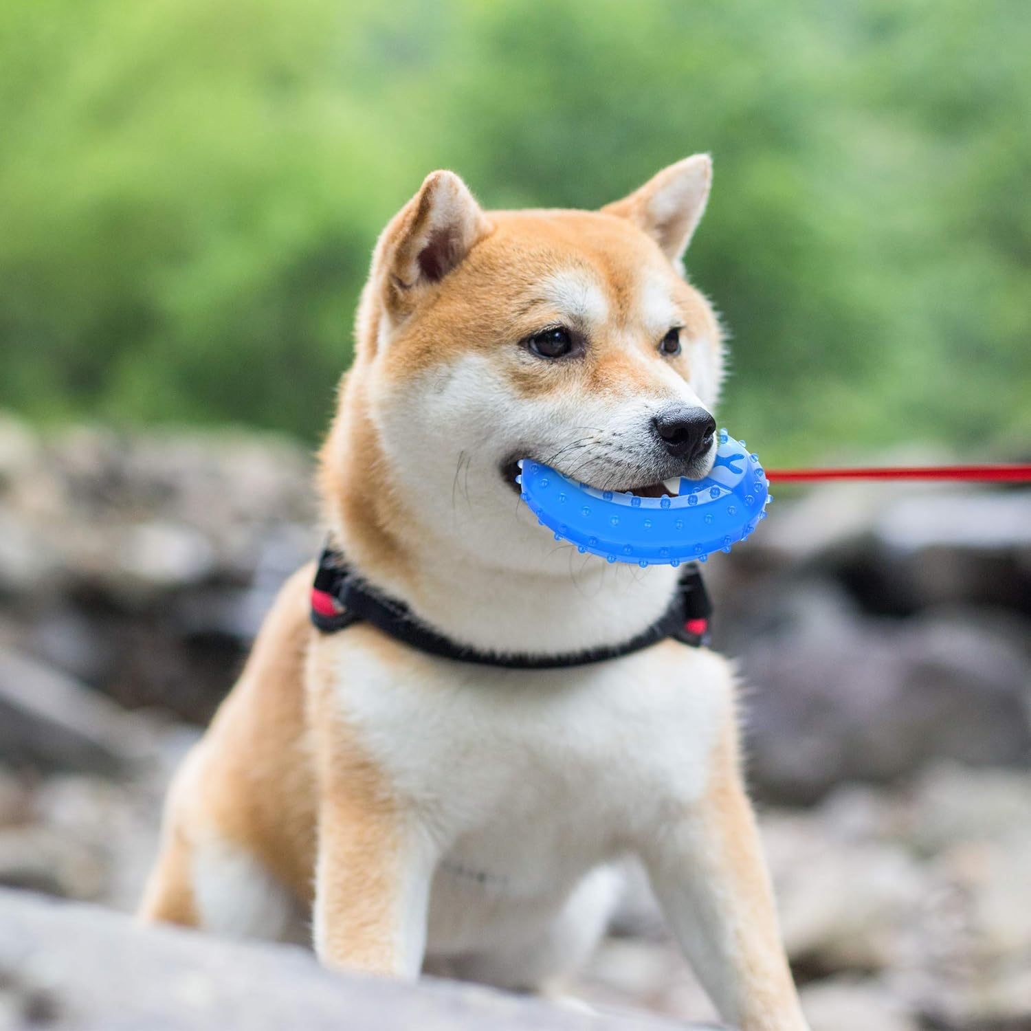 HKM-240723 Cooling Dog Teething Toy - Freezable Relaxation and Dental Care Chew for Puppies