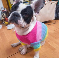 HKM-068371 Rainbow Knit Dog Sweater - Soft Wool Material for Various Sizes (S-2XL)