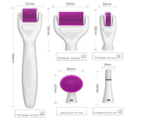HKM-558419 6-in-1 Derma Roller Microneedling Set for Facial Skin Care with Multiple Needle Sizes and Accessories