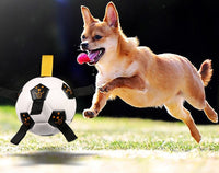 HKM-500563 Durable TPU Pet Ball with Rope for Outdoor Play and Training, 17CM