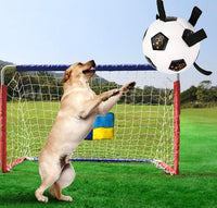 HKM-500563 Durable TPU Pet Ball with Rope for Outdoor Play and Training, 17CM