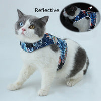 HKM-452819 Reflective Cat Walking Rope with Polyester Chest Strap