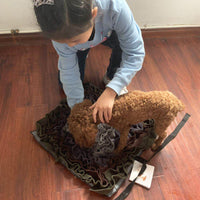 HKM-814227 Gray and Purple Pet Sniffing Mat - Cloth, 45x45cm Interactive Enrichment Toy