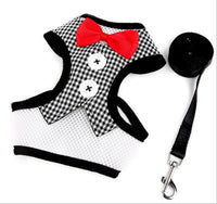 HKM-517203 Elegant Evening Dress with Pet Strap ¨C Adjustable Rope for Comfort and Style