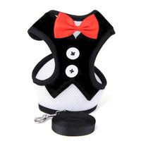 HKM-517203 Elegant Evening Dress with Pet Strap ¨C Adjustable Rope for Comfort and Style