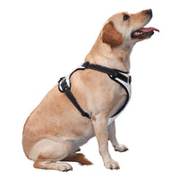 HKM-679891 Durable Oxford Cloth Pet Leash Vest for Active Dogs - Adjustable, Reflective, Breathable Design