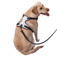 HKM-679891 Durable Oxford Cloth Pet Leash Vest for Active Dogs - Adjustable, Reflective, Breathable Design