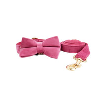 HKM-941715 Velvet Dog Collar with Adjustable Traction Rope and Bow Tie