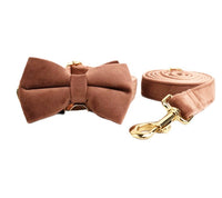 HKM-941715 Velvet Dog Collar with Adjustable Traction Rope and Bow Tie