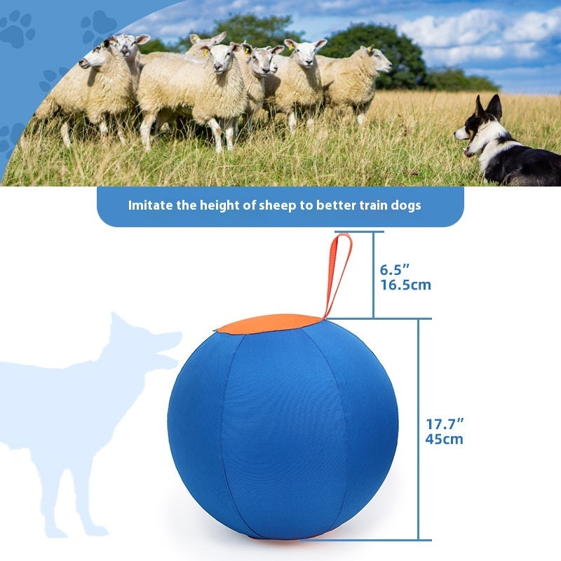 HKM-168275 Shiba Inu & Corgi Fun Training Self-Hi Ball - Blue & Orange Polyester Dog Toy