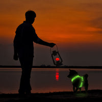 HKM-006419 Rechargeable Mesh LED Lighted Dog Harness with USB Charging and Multiple Flashing Modes