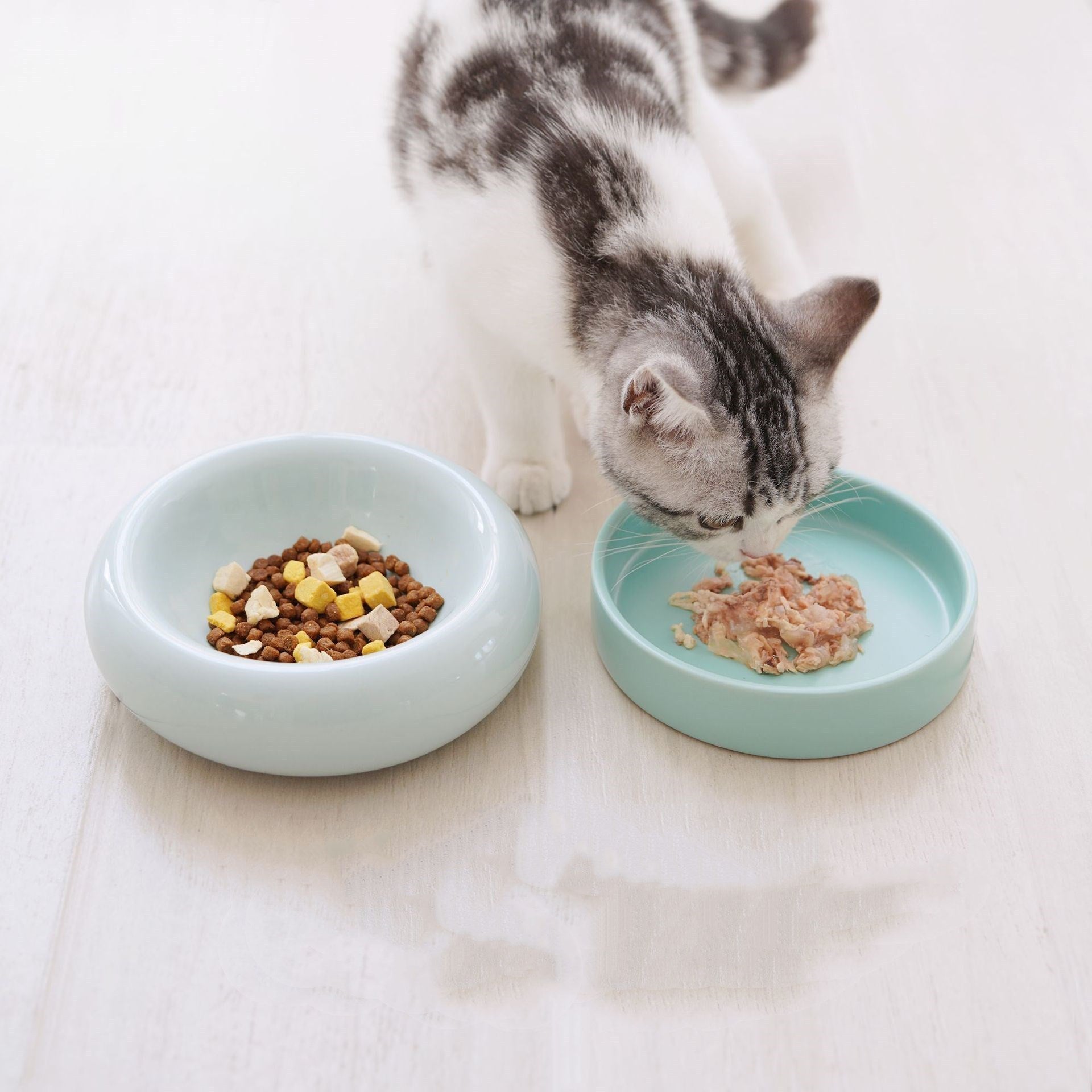 HKM-469907 Mochi Ceramic Cat Food Bowl - Pink & Green, High-Temperature Porcelain, 80-120g Capacity