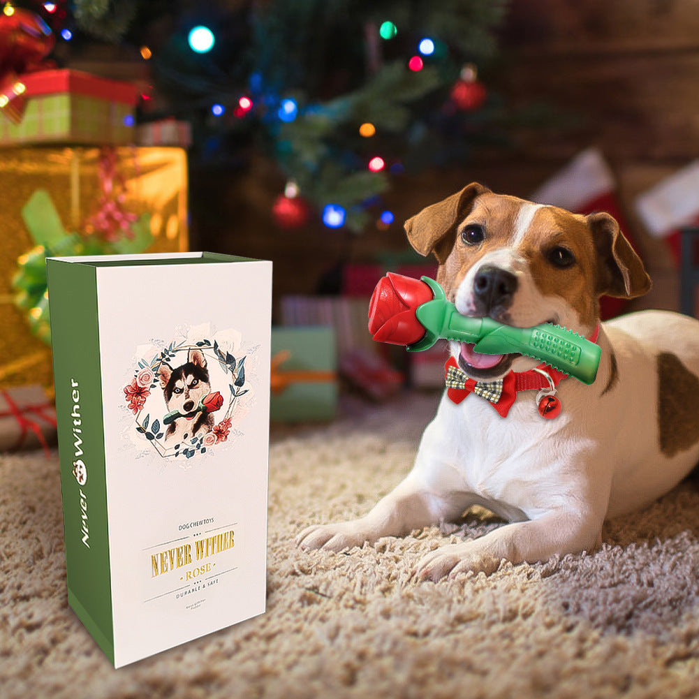 HKM-457747 Rose Stick Dog Chew Toy in Gift Box - Durable TPE Molar Stick for Dogs