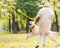 HKM-223763 Outdoor Dog Toy Ball Thrower - Multifunctional Plastic Cue Ball Launcher, Blue & Sky Blue, Lightweight at 173g