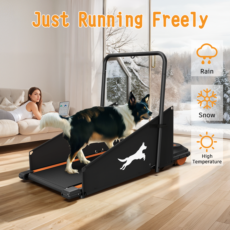 JMT-744074 Pet Treadmill for Small to Medium Dogs - Ideal for Running and Walking Sessions