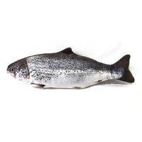 HKM-450835 Electric Bionic Fish Plush Cat Toy - Interactive Beating Motion for Cats