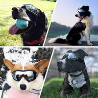 HKM-333587 Stylish Windproof Pet Goggles for Medium to Large Dogs – Sun Protection, Anti-Fog, and Adjustable Strap for Outdoor Activities