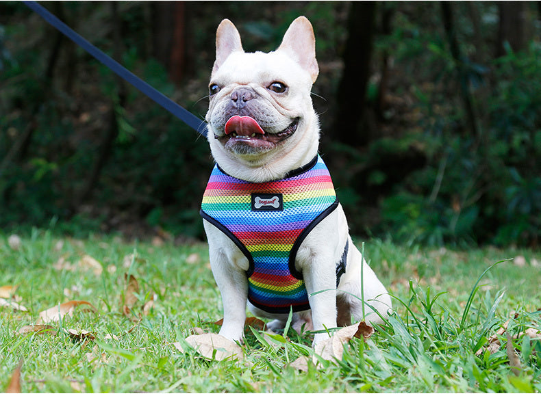 HKM-631315 Rainbow Striped Chest Strap in S, M, L Sizes - Comfortable Sandwich Mesh Design