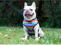 HKM-631315 Rainbow Striped Chest Strap in S, M, L Sizes - Comfortable Sandwich Mesh Design