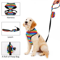 HKM-631315 Rainbow Striped Chest Strap in S, M, L Sizes - Comfortable Sandwich Mesh Design