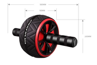 HKM-718419 Abdominal Wheel for Core Strength and Stability Workout