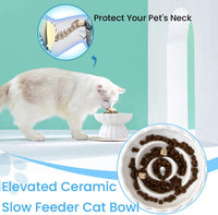HKM-734355 Elevated Ceramic Pet Slow Feed Dish with Flower Pool Design for Cats and Small Dogs