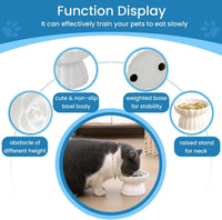HKM-734355 Elevated Ceramic Pet Slow Feed Dish with Flower Pool Design for Cats and Small Dogs