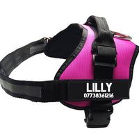HKM-359123 Adjustable Nylon Pet Chest Harness with Leash in Various Colors and Sizes