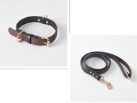 HKM-096659 Durable PU Dog Leash and Collar Set in Black, Red, Yellow, or Coffee