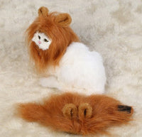 HKM-108691 Pet Lion Mane Costume Hat for Small Dogs and Cats - Fun Halloween and Festival Accessory