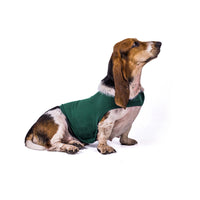 HKM-615699 Calming Anxiety Vest for Cats and Dogs - Soothing Health-Care Apparel in Various Colors and Sizes