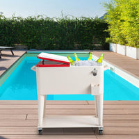 HKM-467795 Refrigeration and Insulation Trolley with Rectangular Plastic Box and Iron Leg Tubes, Dimensions 87.5x38.5x91cm