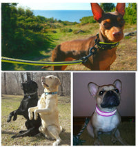 HKM-666067 Breathable Mesh Reflective Nylon Pet Collar in Various Colors and Sizes