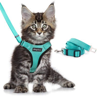 HKM-973651 Adjustable Reflective Soft Mesh Cat Vest Harness with Car Seat Belt Adapter for Kittens and Puppies