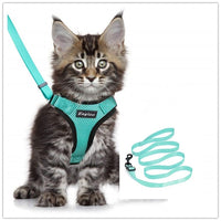 HKM-973651 Adjustable Reflective Soft Mesh Cat Vest Harness with Car Seat Belt Adapter for Kittens and Puppies