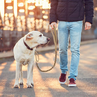 HKM-677587 Heavy-Duty Retractable Leash for Large Dogs - Enhanced Safety with Anti-Burst Technology