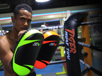 HKM-478995 Taekwondo Protective Gear for Sparring and Training