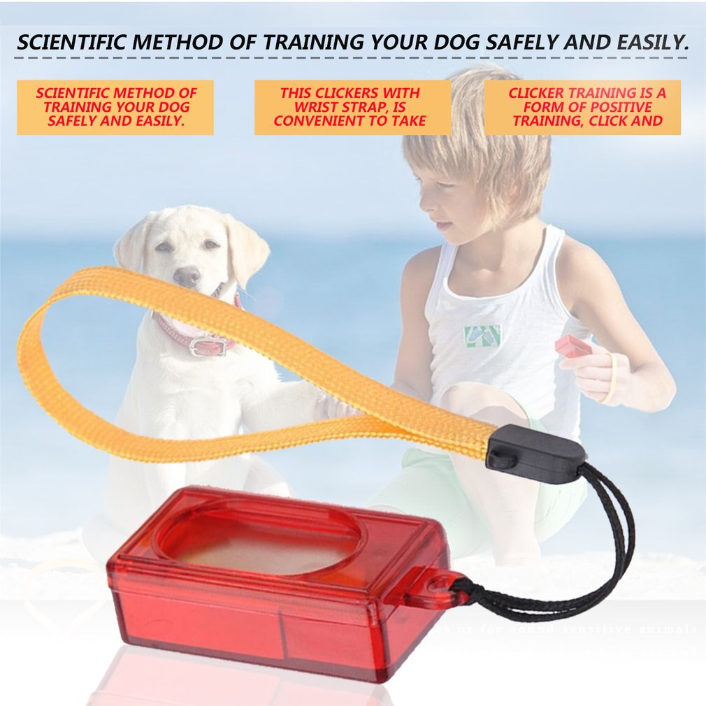 JMT-776842 Square Clicker Trainer for Dogs - Essential Training Tool for Golden Retrievers and Other Breeds