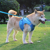 HKM-339859 Reflective Polyester Chest Strap for Enhanced Visibility and Comfort