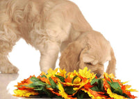 HKM-418067 Pet Jungle Washable Feeding Mat - Sniffing Blanket for Dogs and Cats (55*50CM)