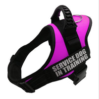 HKM-326355 Durable Reflective Nylon Pet Chest Harness with Adjustable Shoulder Strap and All-Weather Function