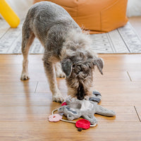HKM-059091 Interactive Plush Teddy Bear Toy for Small Dogs - Teeth Grinding and Solitude Comfort with Hidden Treats