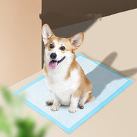 HKM-967699 Absorbent Dog Pad for Pet Hygiene and Mess-Free Cleanup