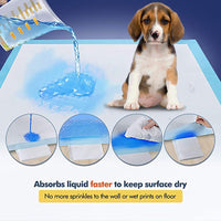 HKM-967699 Absorbent Dog Pad for Pet Hygiene and Mess-Free Cleanup