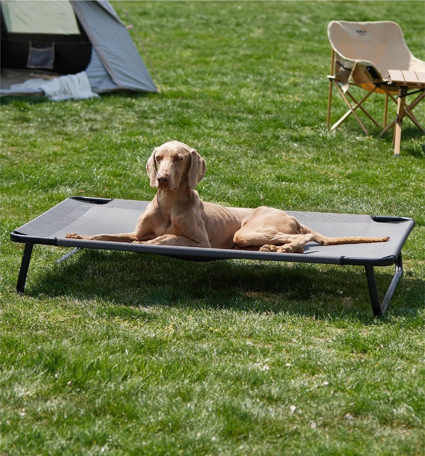 HKM-152595 Elevated Large Dog Outdoor Bed with Adjustable Buckle Legs, Washable Mesh Cover, Non-Slip Feet, Durable, Indoor & Outdoor Use
