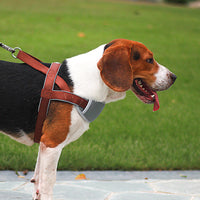 HKM-387283 Adjustable Nylon Dog Leash Vest Chest Strap - Available in Red, Blue, Brown and Multiple Sizes