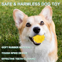 HKM-153939 Bright Color Squeaky Spike Dog Balls for Small Dogs - Teething, Fetch, and Interactive Outdoor Toys