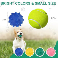 HKM-153939 Bright Color Squeaky Spike Dog Balls for Small Dogs - Teething, Fetch, and Interactive Outdoor Toys