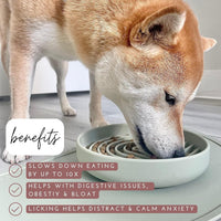 HKM-283859 Slow Feeding Silicone Bowl for Dogs and Puppies - Engaging Lick Mat Design that Reduces Gulping - Dishwasher Safe and Suitable for All Breeds - Promotes Better Digestion