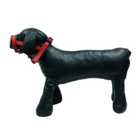 HKM-871571 Dog Muzzle for Anti-Eating Purpose - PVC Encapsulation with Adjustable Webbing, Multiple Sizes Available